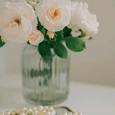 深度探索Shadowrocket：从公众号资源到高阶配置的全方位指南