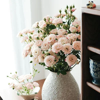 手把手教你配置v2rayng：从入门到精通的完整指南