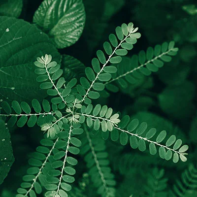 如何选择V2Ray安卓版本：32位与64位的深度解析与使用指南