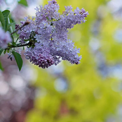 全面指南：如何获取、安装和配置 Clash 代理工具