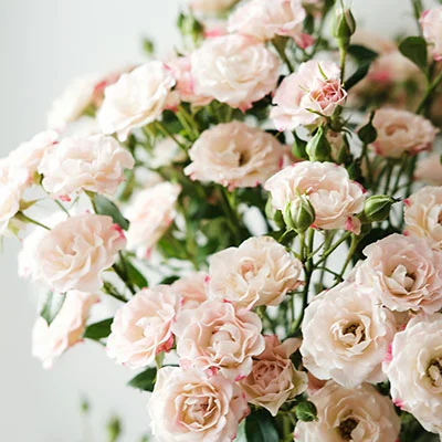 安卓手机畅游全球网络：v2rayng下载配置全攻略